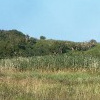 Balturm, Dünen-Leeseite.