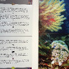 Impressionen der Ausstellungsdrucke und der Beschriftung