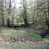Abgelassener Teich im 