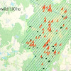 Schalwild-Dichte, Königsbrücker-Heide